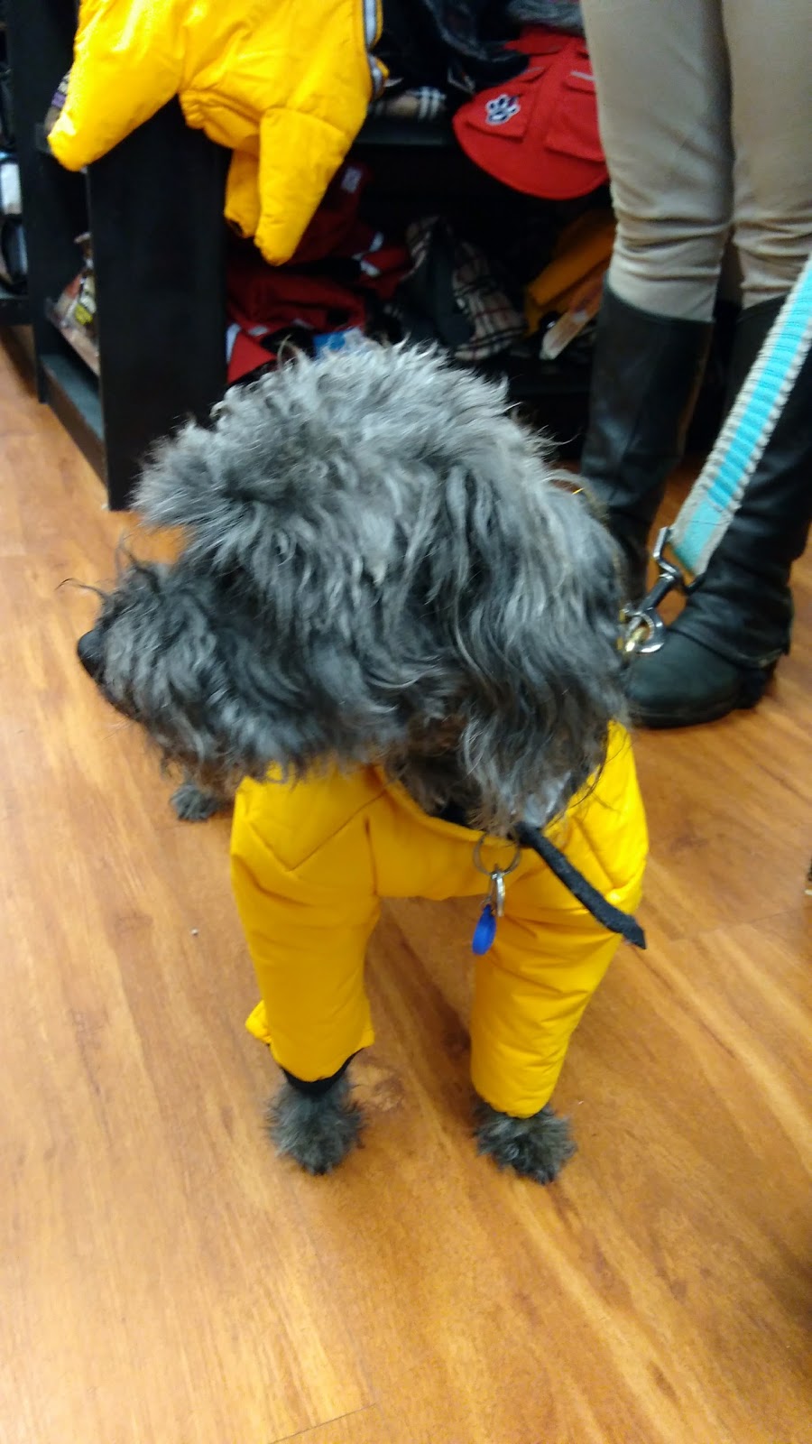 Paulmacs Pets | 144 Queen St, Lakefield, ON K0L 2H0, Canada | Phone: (705) 652-8377