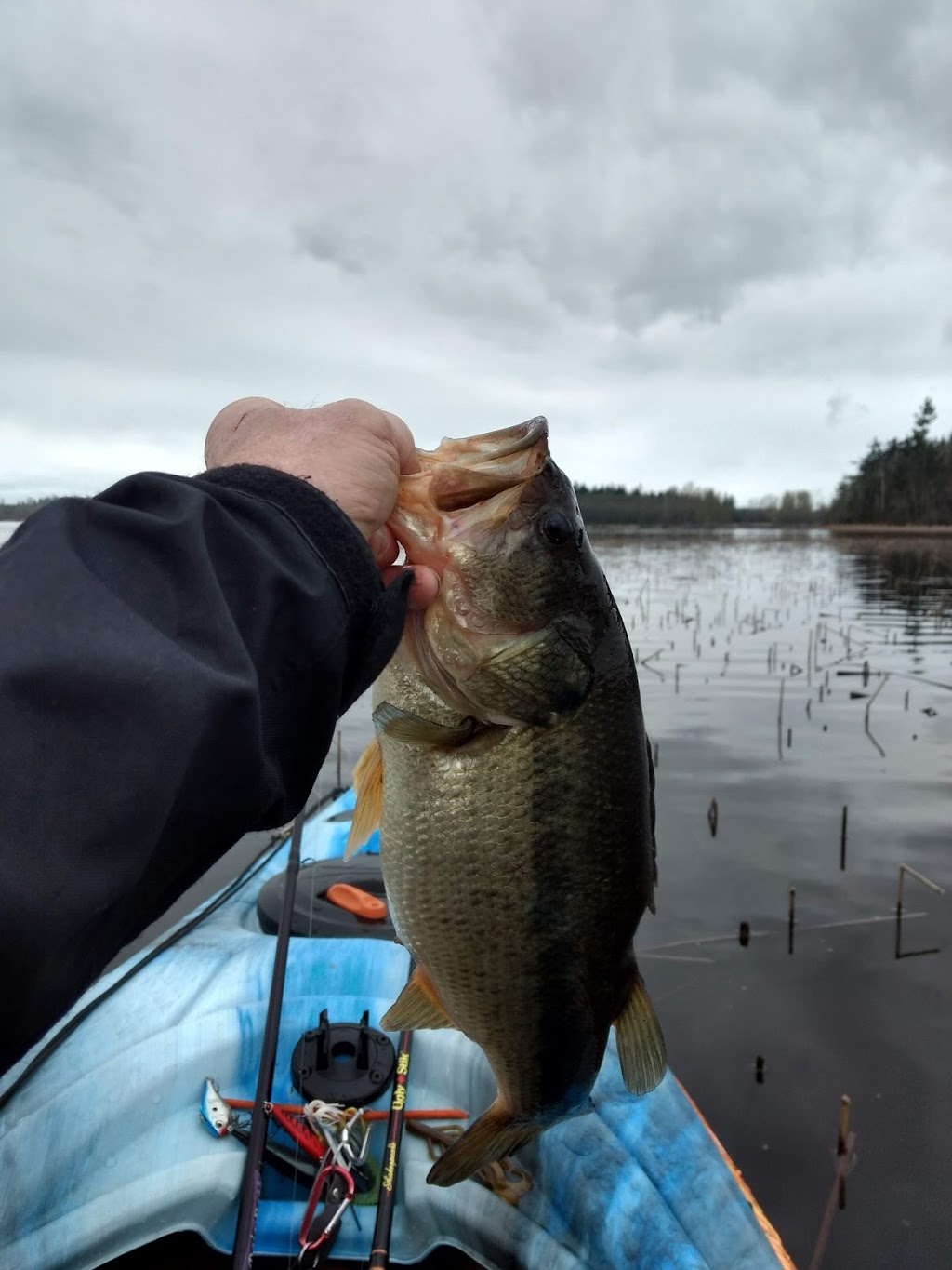 Lake Terrell State Game Refuge | Ferndale, WA 98248, USA | Phone: (360) 384-4723
