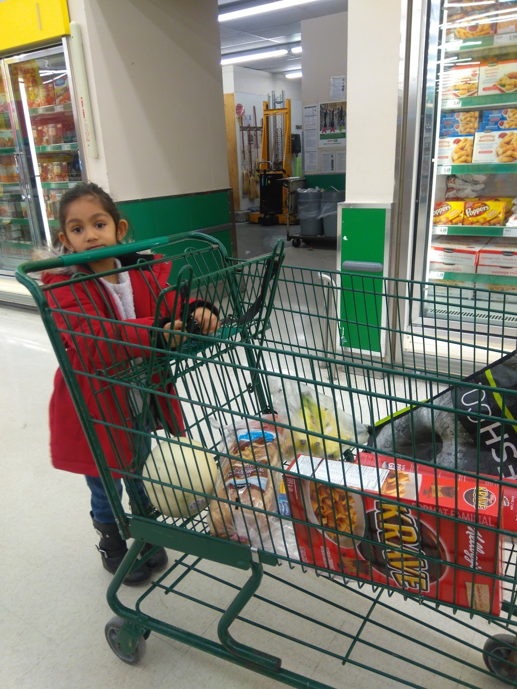 Food Basics | 235 Guelph St, Georgetown, ON L7G 4A8, Canada | Phone: (905) 877-5648
