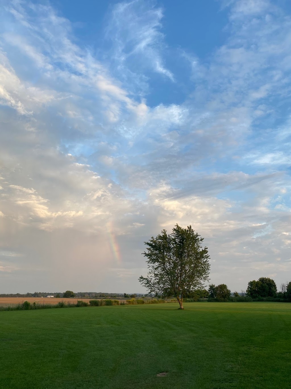 Devlin Farms | 6311 12th Line, Alliston, ON L9R 1V4, Canada | Phone: (705) 204-7099