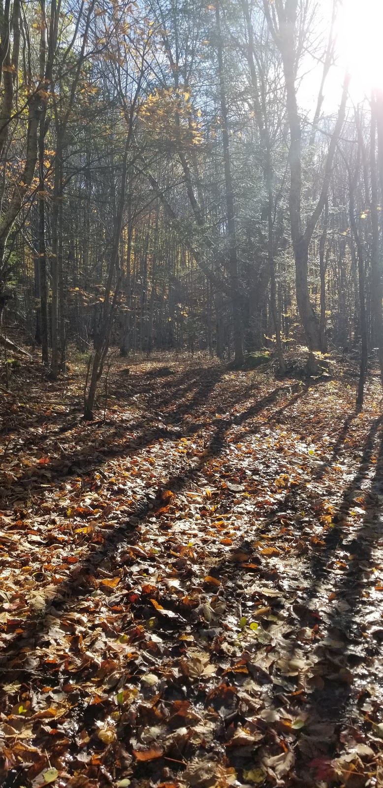 Chalet52 | Chemin Nephtalie-Maher, Labelle, QC J0T 1H0, Canada | Phone: (514) 804-9011