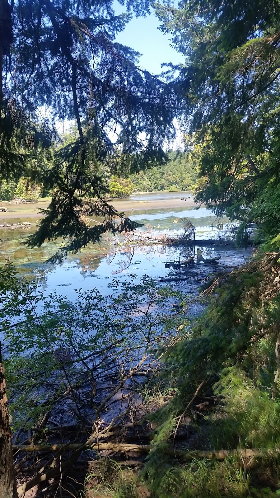 Wittys Lagoon Regional Park - Metchosin Road Parking Lot | 3920 Metchosin Rd, Victoria, BC V9C 4A5, Canada