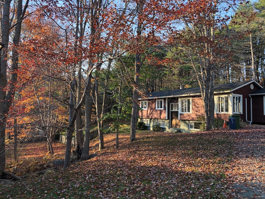 Dr. Jessie Short, Naturopathic Doctor | 25 Keddy Bridge Rd, Mahone Bay, NS B0J 2E0, Canada | Phone: (902) 529-1331