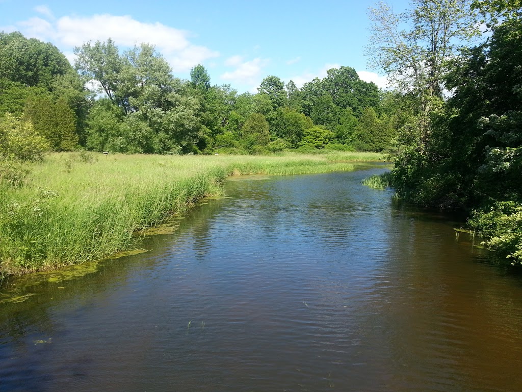 Christie Wildlife Area | White-Tailed Deer Trail, Dundas, ON L9H 5E2, Canada