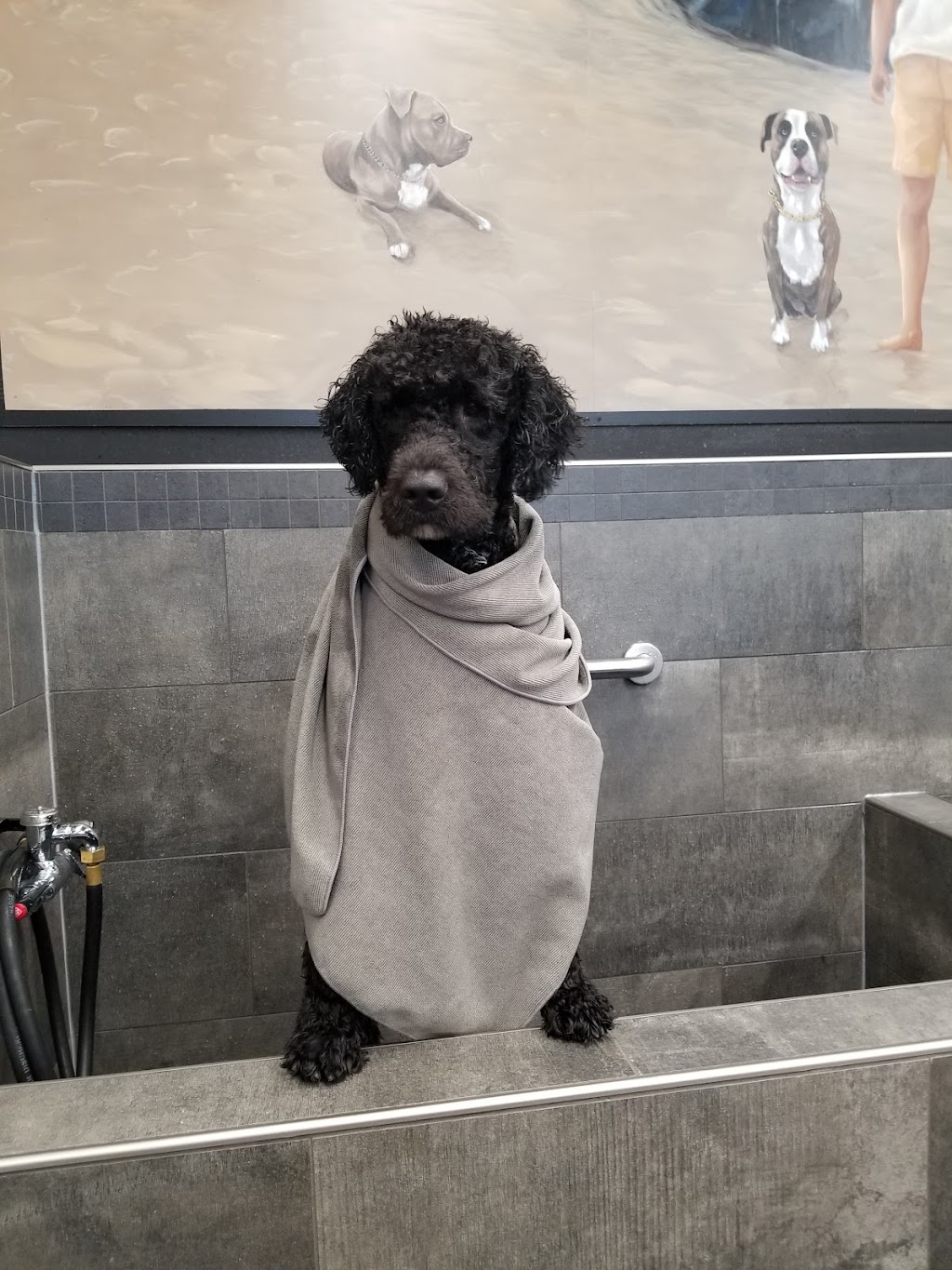 Pet Valu Watters | 900 Watters Road Units 3B & 4, Orléans, ON K4A 0B4, Canada | Phone: (613) 424-0132