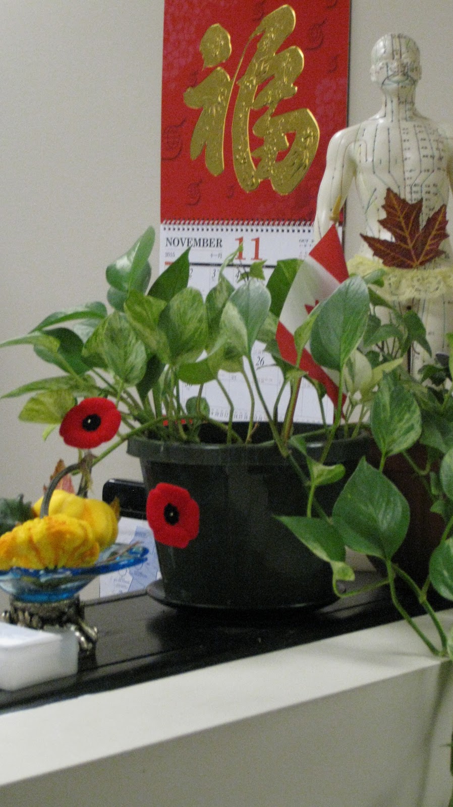 Minda Natural Health & Acupuncture Clinic | 1390 Prince of Wales Dr #300, Ottawa, ON K2C 3N6, Canada | Phone: (613) 796-2688