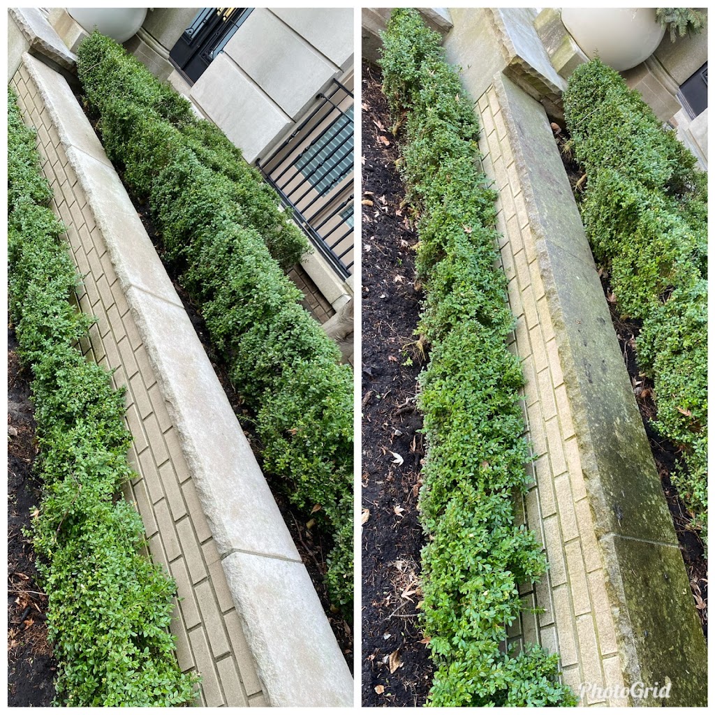 XTREME Property Services Inc | 147 Bentworth Ave, Toronto, ON M6A 1P6, Canada | Phone: (647) 255-7174