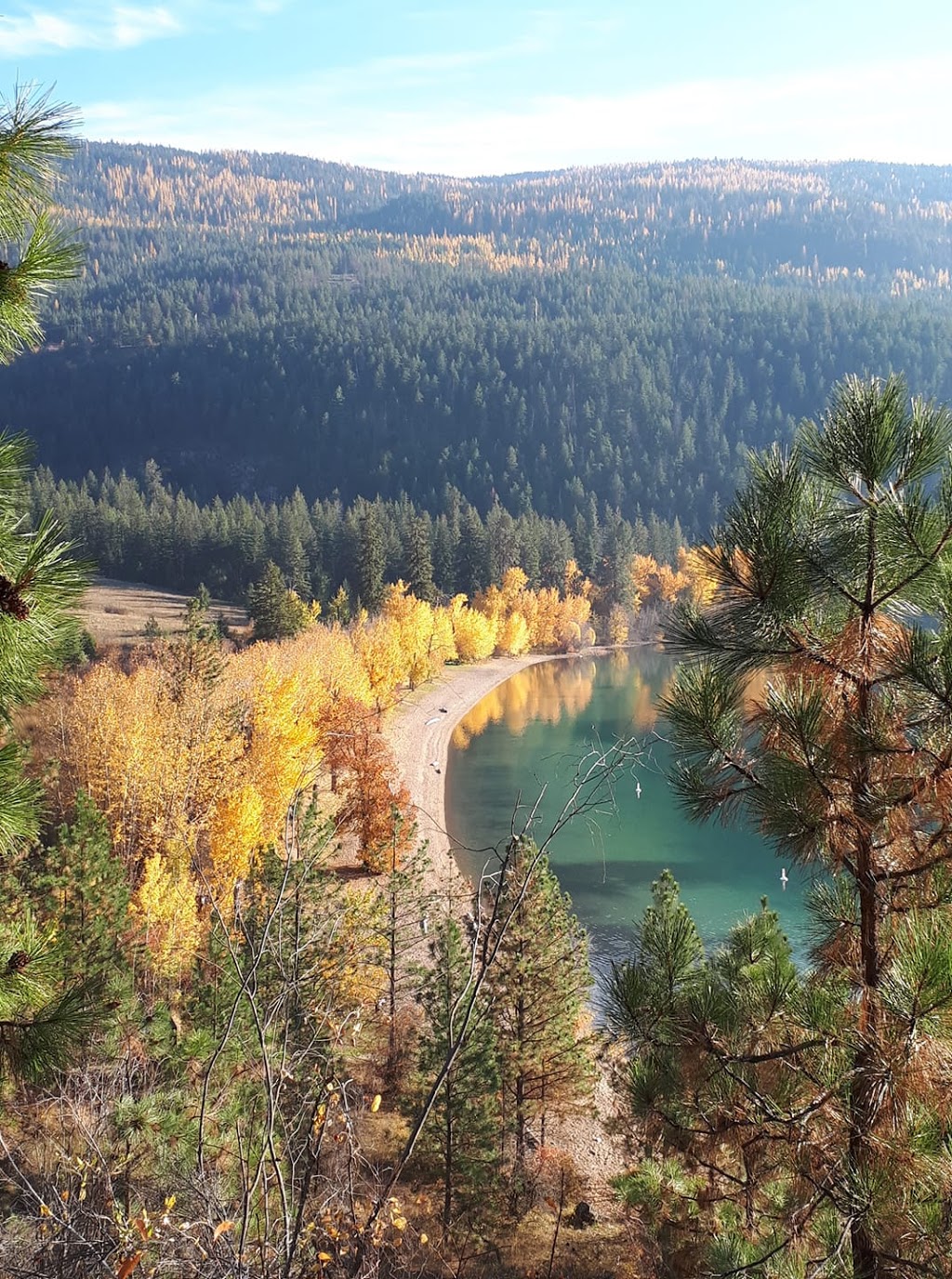 Coast Mountain Plumbing Company | 6242 Rimer Rd, Vernon, BC V1B 3T7, Canada | Phone: (250) 306-9902