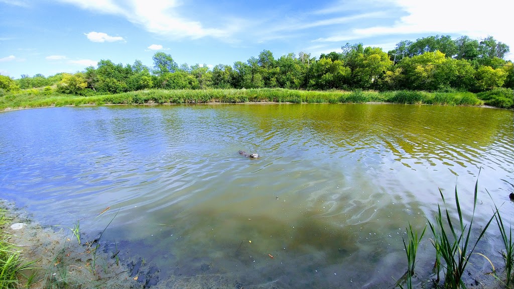 Connor Park | Laurel Rd, Bushell Park, SK S0H 0N0, Canada | Phone: (306) 692-8188