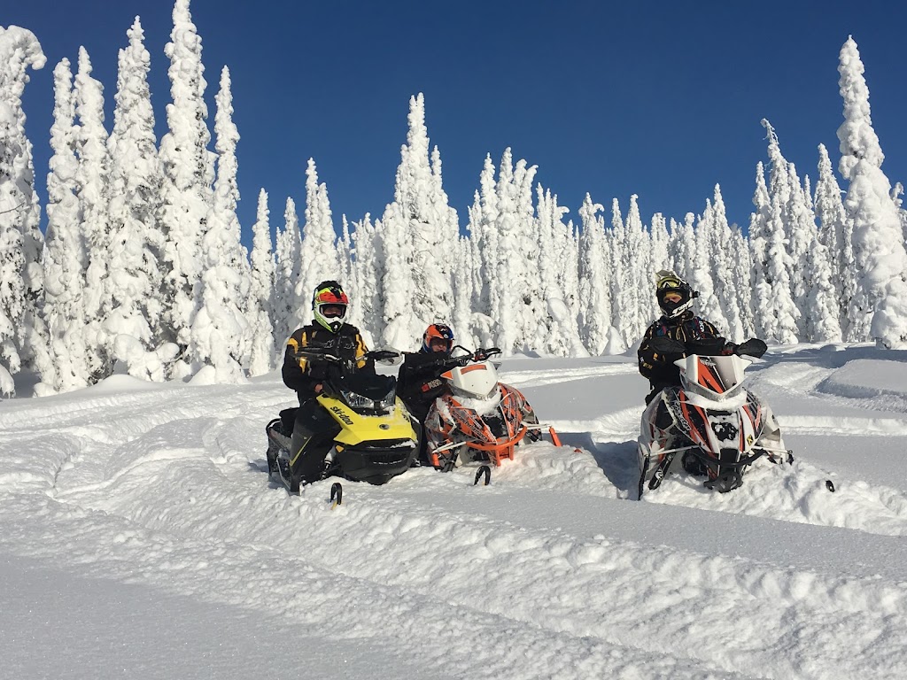 Canadian Powder Tours Lodge | 1410 McDonald Ave, Fernie, BC V0B 1M1, Canada | Phone: (250) 423-3019
