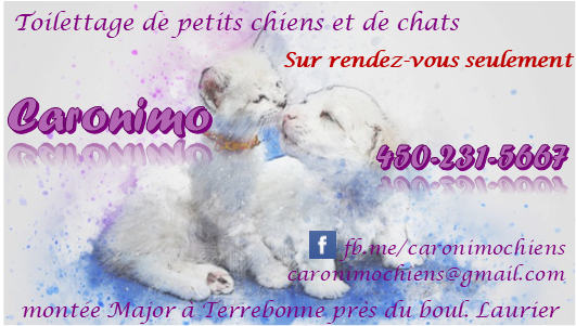 Caronimo | 1851 Mnt Major, Terrebonne, QC J7M 1E6, Canada | Phone: (450) 231-5667