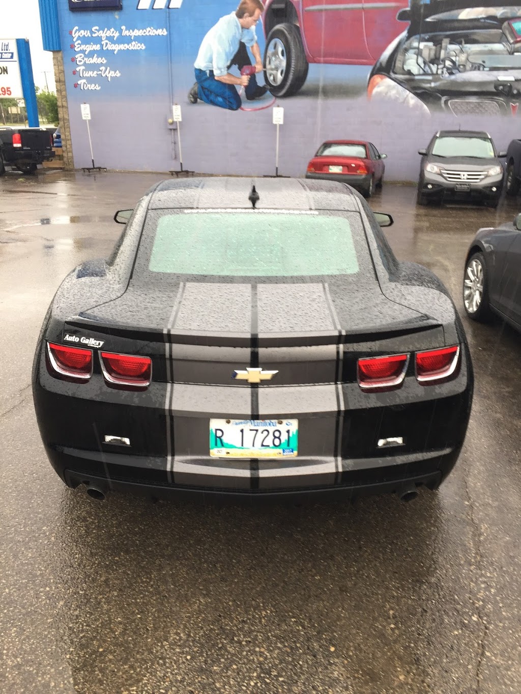 Visual Alterations | 535 St Charles St, Winnipeg, MB R3K 1V1, Canada | Phone: (204) 226-3757