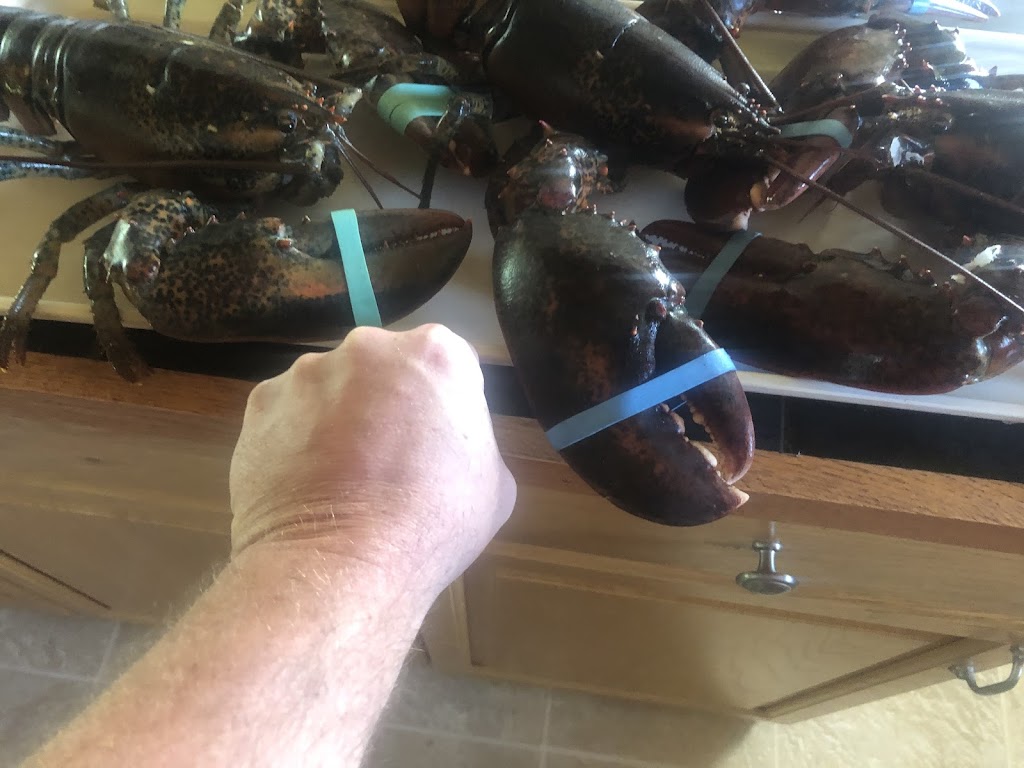 Harbour Seafood | 15 Gill St, Coldwater, ON L0K 1E0, Canada | Phone: (705) 543-0311