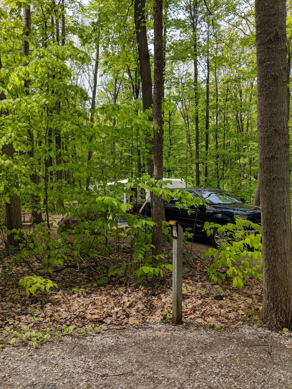 Wolf Campground | Tiny, ON L9M 1R2, Canada | Phone: (705) 549-2231