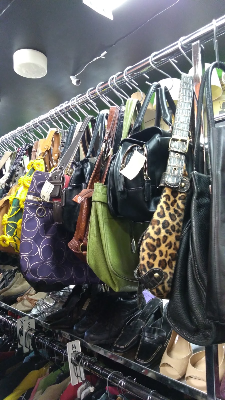 Flow Lifestyle Boutique | 598 Concession St, Hamilton, ON L8V 1B2, Canada | Phone: (905) 383-8080