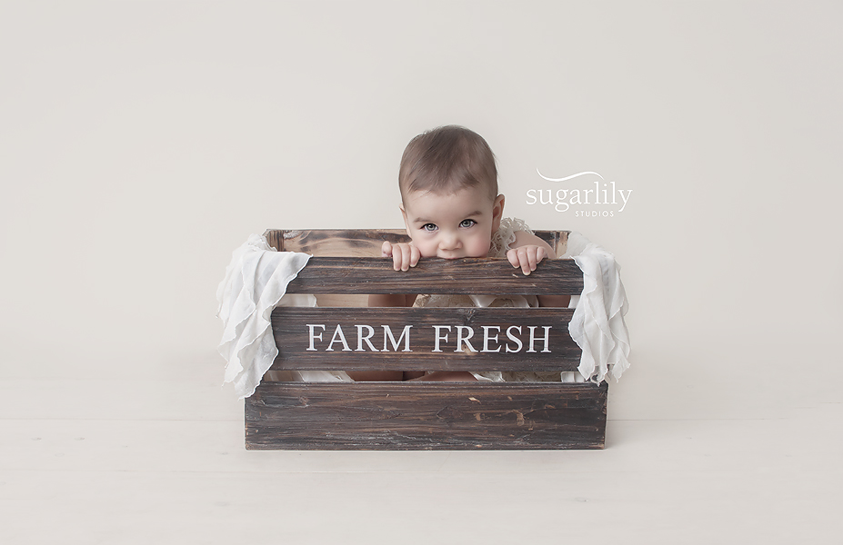Sugarlily Studios | 10973 Barnston View Rd #104, Pitt Meadows, BC V3Y 0B8, Canada | Phone: (604) 463-6545