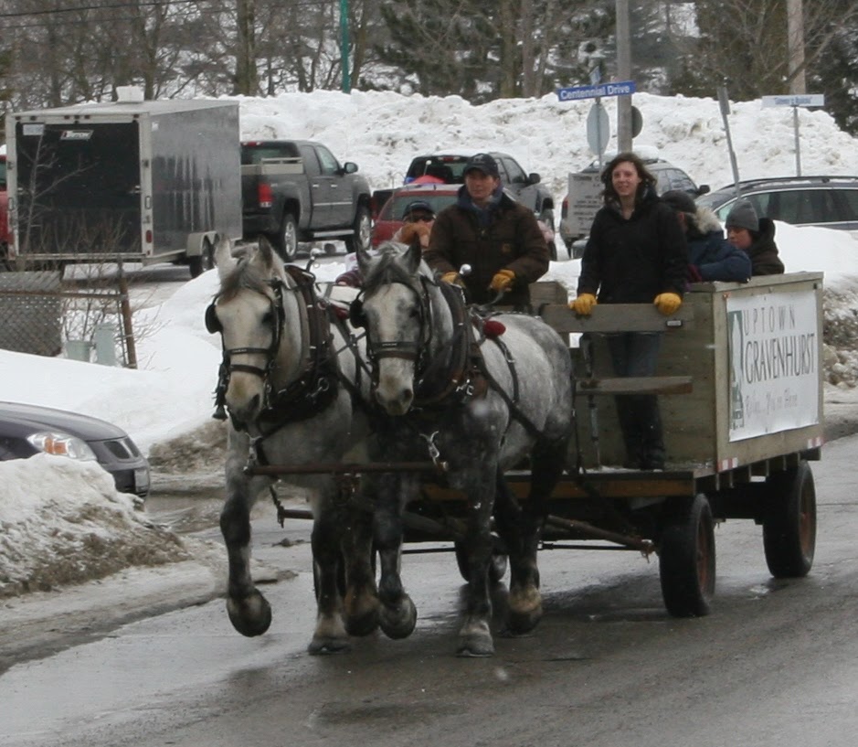 Twin Maples Farm | 1227 Base Line Rd, Severn Bridge, ON P0E 1N0, Canada | Phone: (705) 689-0182