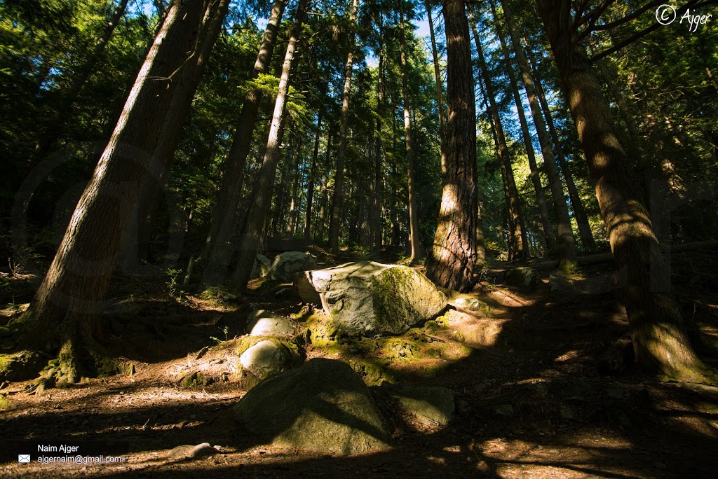 Buntzen Ridge Trail | Port Moody, BC V3H 4S3, Canada