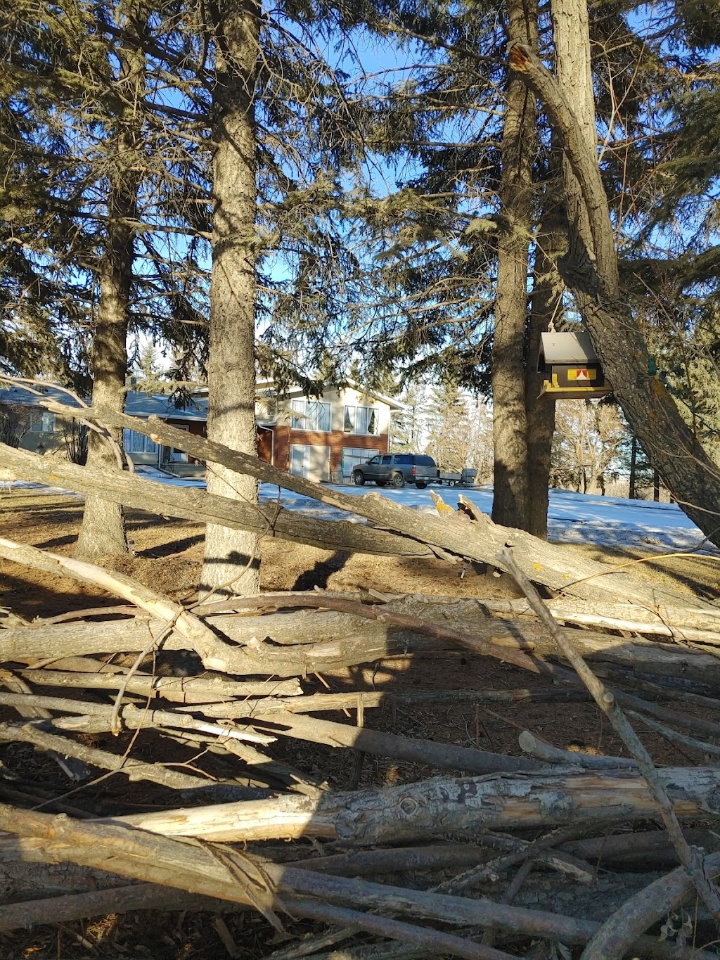 Didsbury Agricultural Grounds | Township Rd 314, Alberta T0M 0W0, Canada | Phone: (403) 335-4494