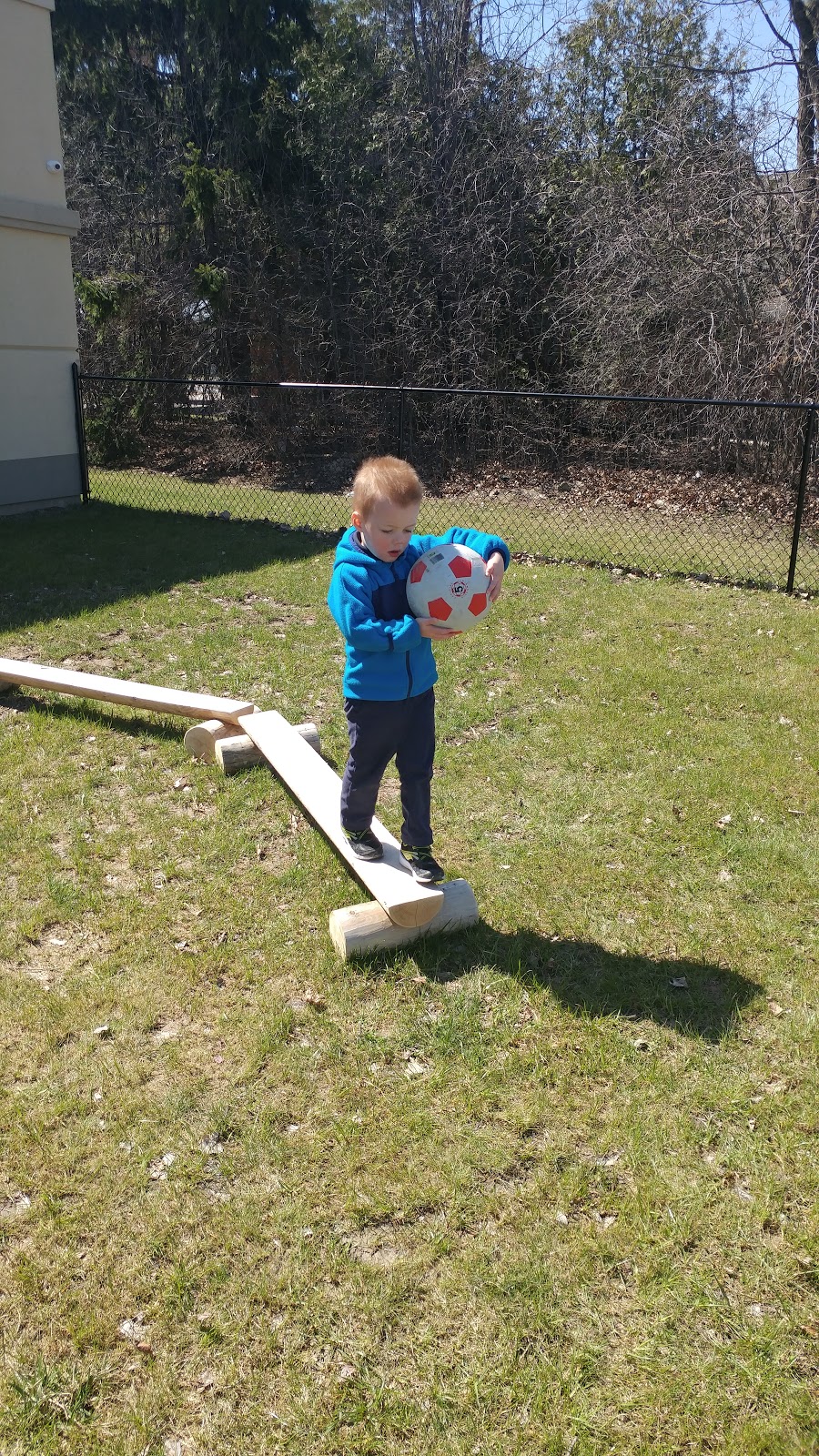 Terry Fox Montessori | 1051 Eglinton Ave W, Mississauga, ON L5V 2W3, Canada | Phone: (416) 557-3396
