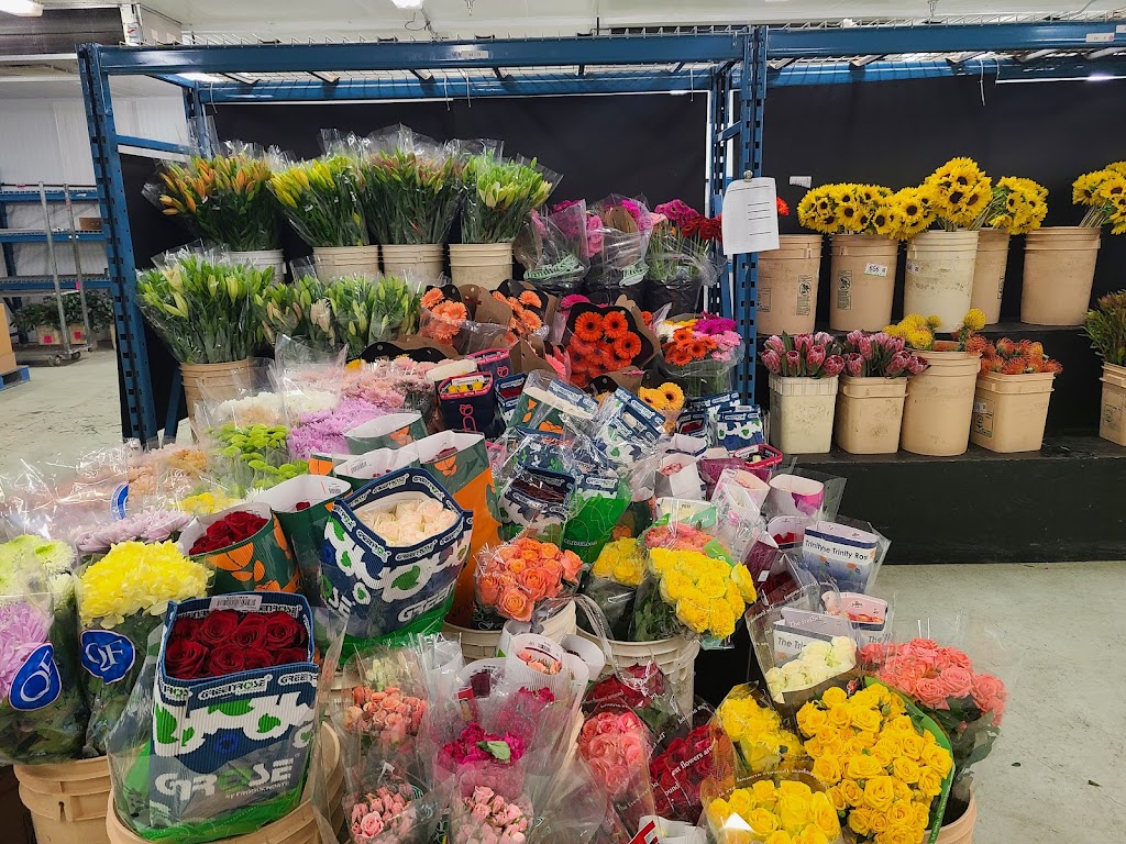 Florists Supply Ltd | Roseberry Square, 3979 Marine Way unit 5, Burnaby, BC V5J 5E3, Canada | Phone: (604) 630-4688