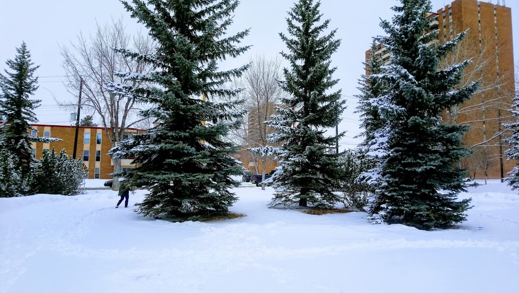 Boardwalk - Whitehall Square | 15407 87 Ave NW, Edmonton, AB T5R 4K2, Canada | Phone: (780) 489-5583