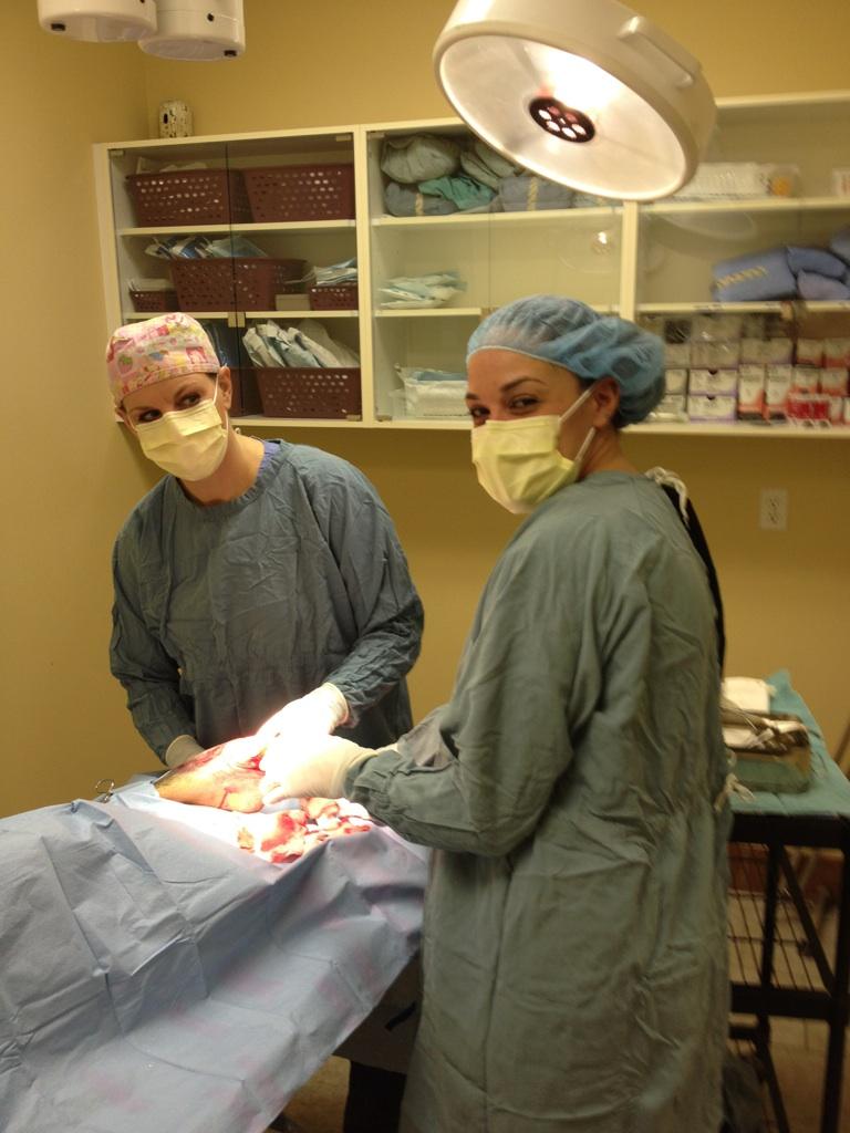 Bridlewood Veterinary Clinic | 26-17107 james McKevitt Rd SW, Calgary, AB T2Y 3Y4, Canada | Phone: (403) 201-6427