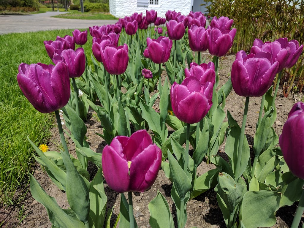 Domaine de Maizerets | 2000 Boulevard Montmorency, Québec, QC G1J 5E7, Canada | Phone: (418) 666-3331