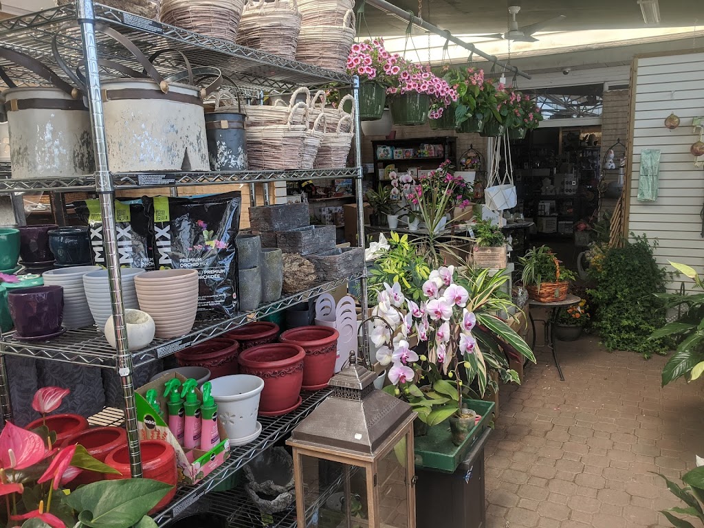 McKnights | 41 Lansdowne St W, Peterborough, ON K9J 1X8, Canada | Phone: (705) 749-1530