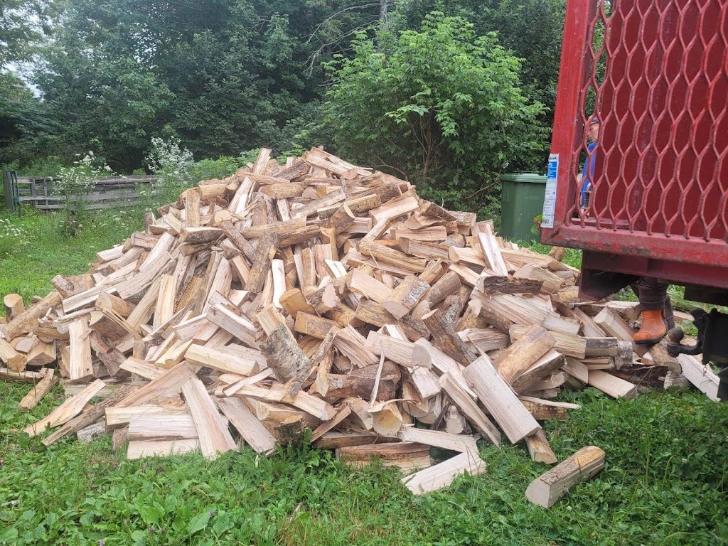 Mikes Firewood & Lumber Services | 15 Shore Rd, Debert, NS B0M 1G0, Canada | Phone: (902) 956-9816