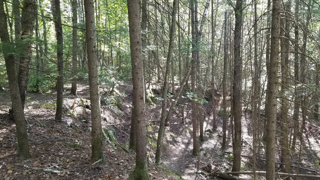 Parc Montchâtel | 13500 Rue Duhamel, Québec, QC G2A 3L2, Canada | Phone: (418) 641-6007