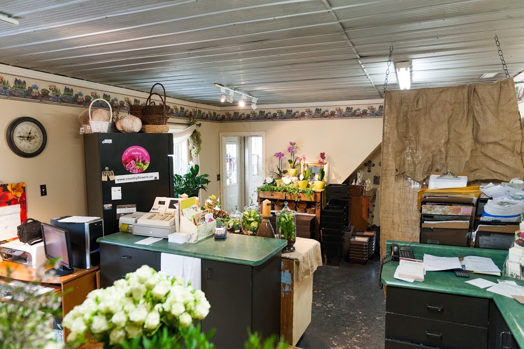 Country Flower and Gift Shoppe | 7751 S Talbot Rd, Maidstone, ON N0R 1K0, Canada | Phone: (519) 737-6843
