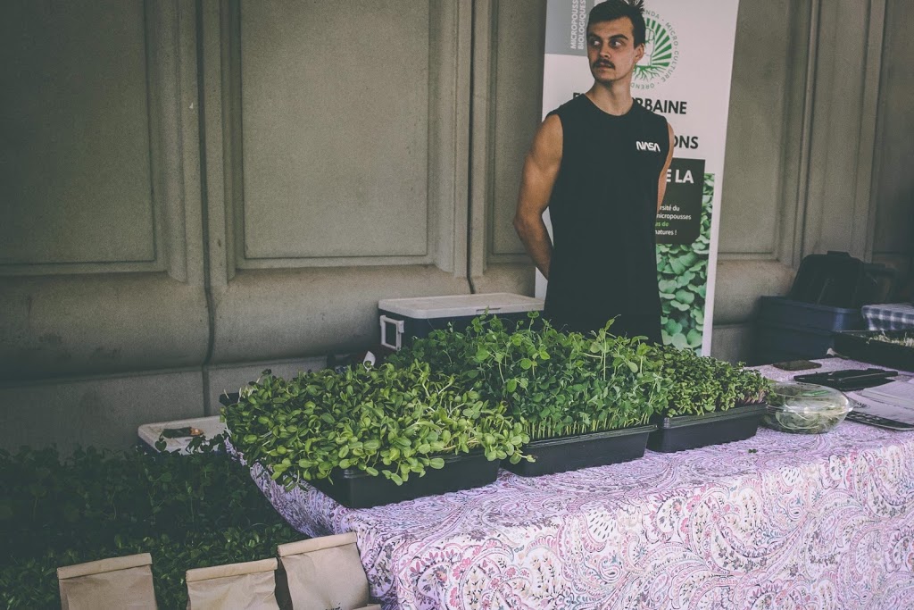Orenda Micro Culture | 1014 Rue Albert Durand, Trois-Rivières, QC G8Z 2M7, Canada | Phone: (819) 668-2726