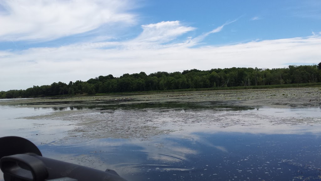 Maple Leaf RV Campground | 281 County Rd 5, Mallorytown, ON K0E 1R0, Canada | Phone: (613) 923-1328
