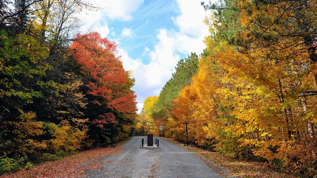 Lac la Pêche | Chemin Sincennes, Pontiac, QC J0X 2W0, Canada