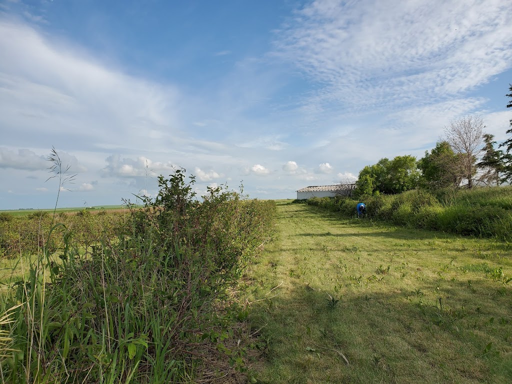 Pleasant View U Pick Berries | Site 2 Comp 6 RR#1, Crossfield, AB T0M 0S0, Canada | Phone: (403) 946-5400