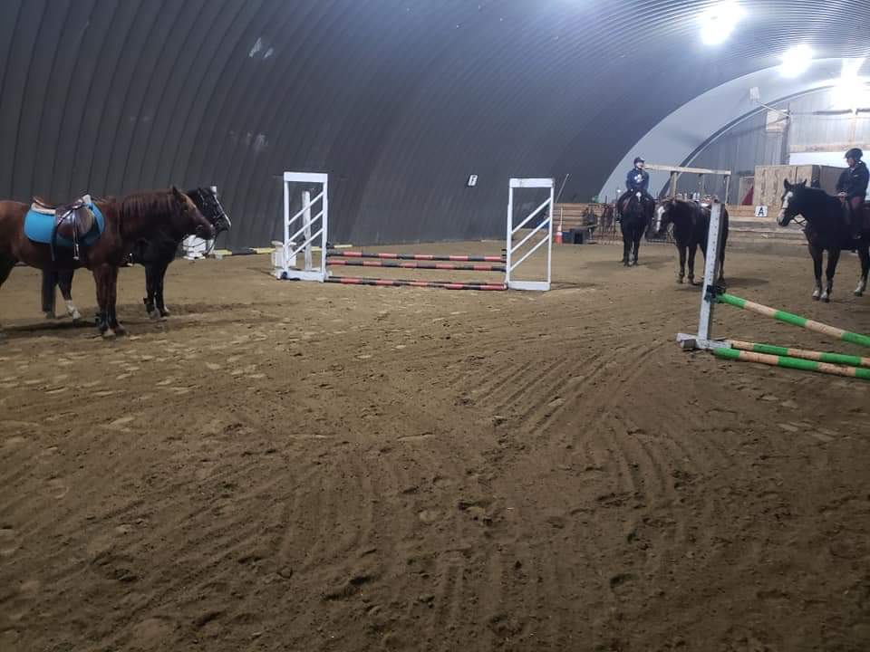 Fantasy Ridge Farms | 21131 Big Hill Springs Rd, Calgary, AB T3R 1K5, Canada | Phone: (403) 485-1655