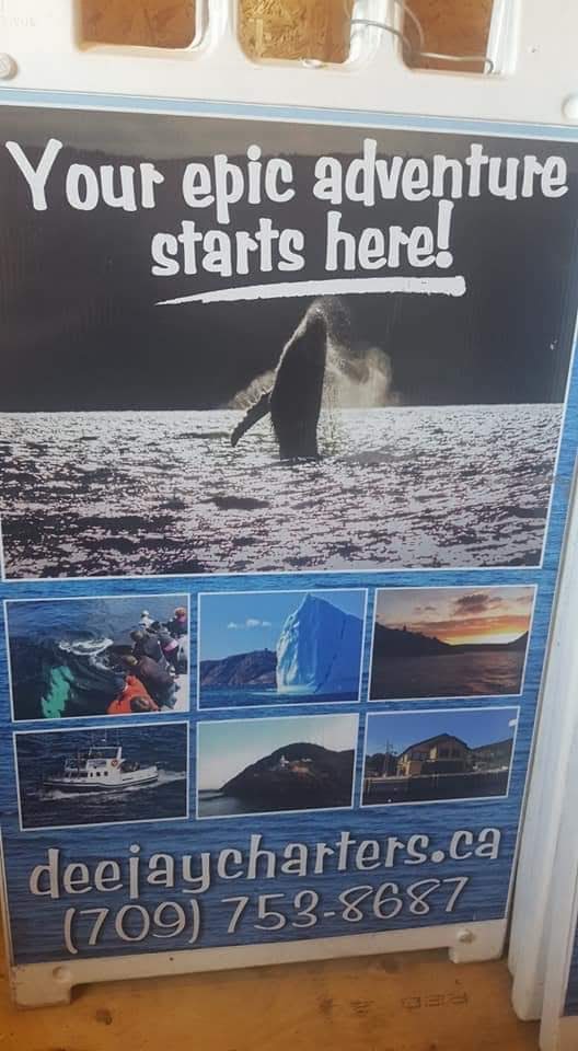 Dee Jay Charters | 140 Harbour Dr, St. Johns, NL A1C 6N6, Canada | Phone: (709) 753-8687