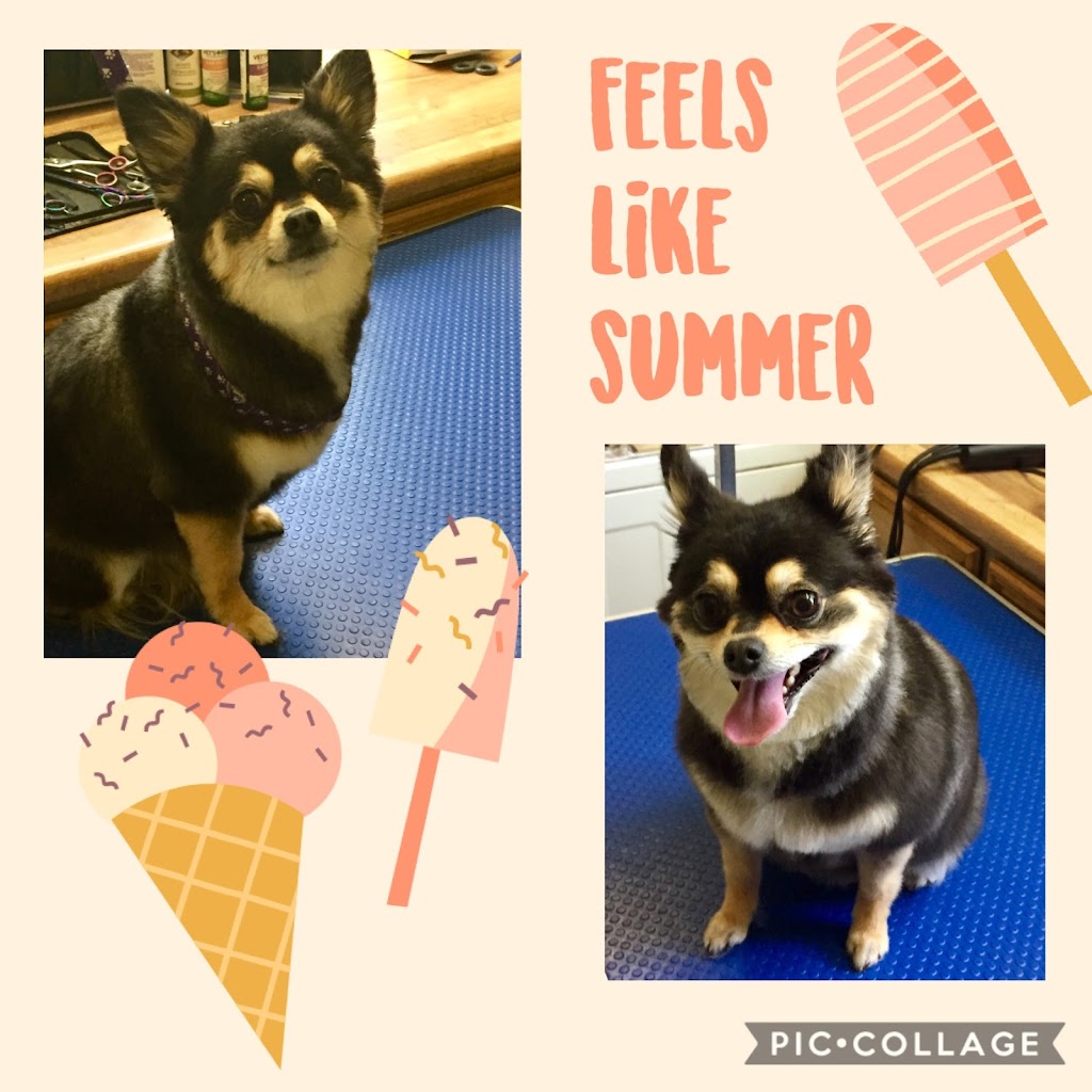 Paw Prints Grooming | Box 301, 15 Roberts Ave, Sandy Hook, MB R0C 2W0, Canada | Phone: (204) 223-2678