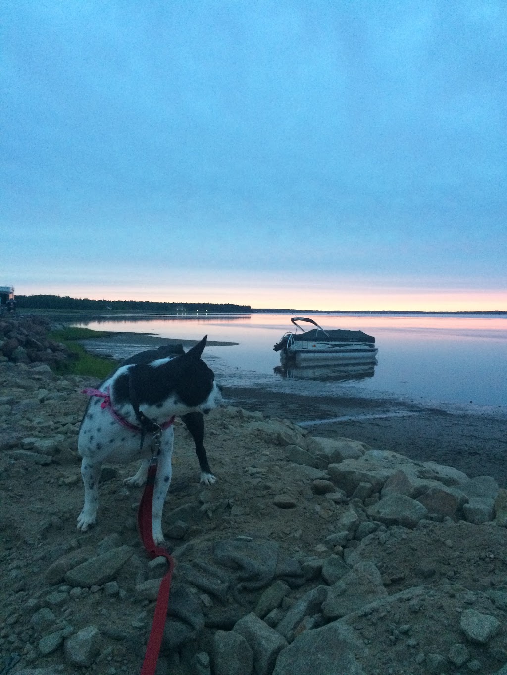 Wishing Star Campground | 218 Main St, Shediac, NB E4P 2E1, Canada | Phone: (506) 532-6786