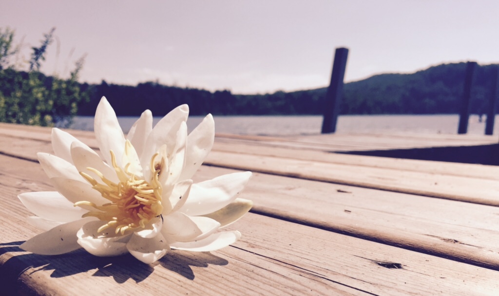 Cottage Dreams | 252 King St, Barrie, ON UNIT #4, Canada | Phone: (705) 457-9100