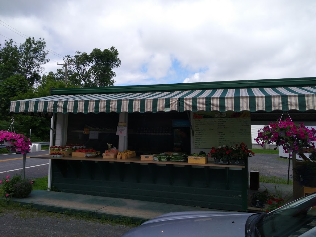 Jean Yves Gamelin Farm | 188 Rang du Chenal Tardif, Pierreville, QC J0G 1J0, Canada | Phone: (450) 568-2654