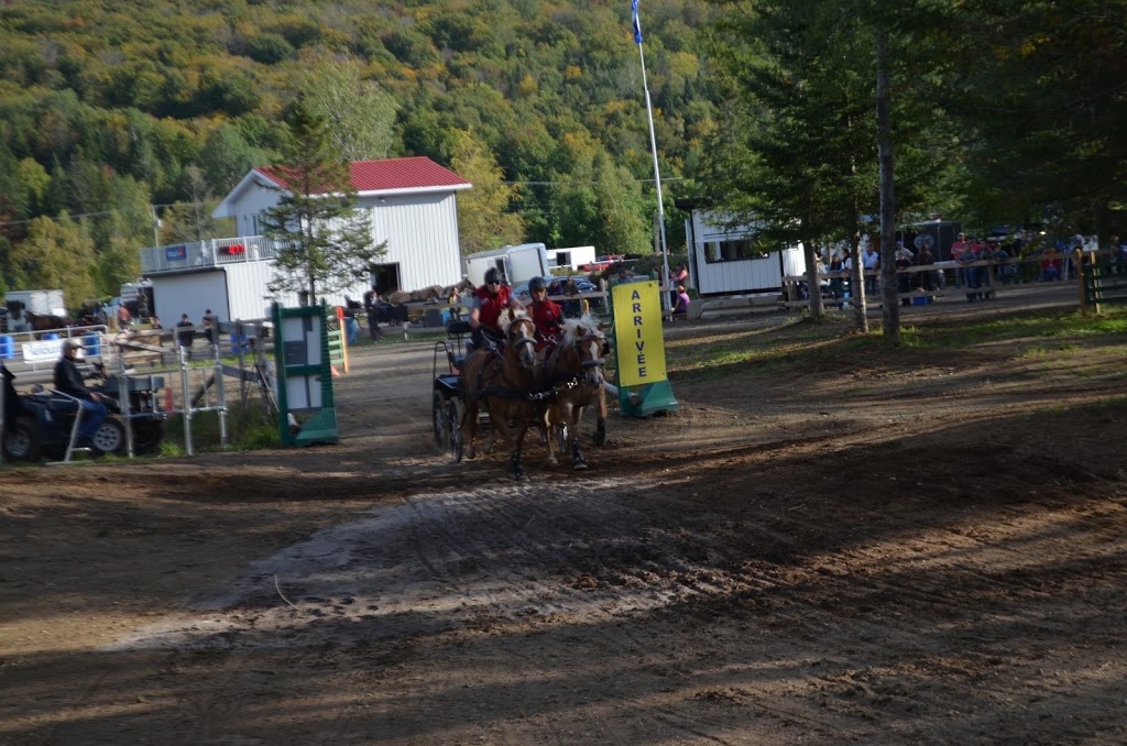 Attelage Performance Quebec | 2161 Chemin de Bélair, Québec, QC G3J 0A6, Canada | Phone: (418) 803-4220