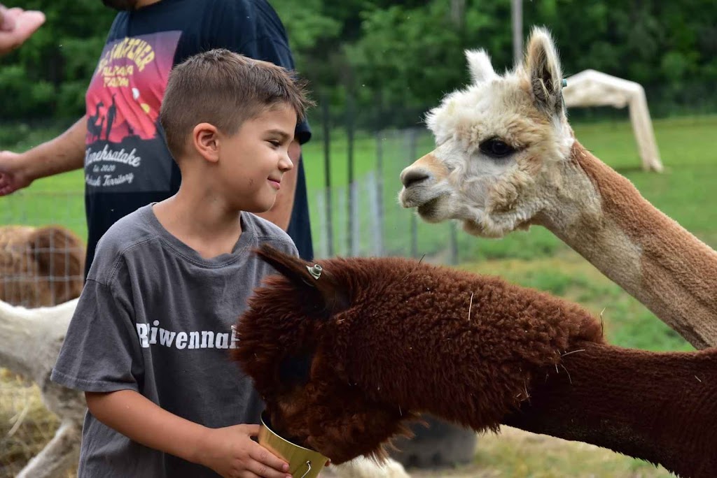 Skywatcher Alpaca Farm | 14 Ahsennénhson, Oka, QC J0N 1E0, Canada | Phone: (514) 224-3457