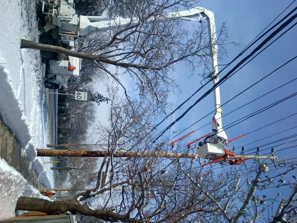 Performance Powerline Services | 270 Watson Pkwy N, Guelph, ON N1E 7J5, Canada | Phone: (226) 974-2290