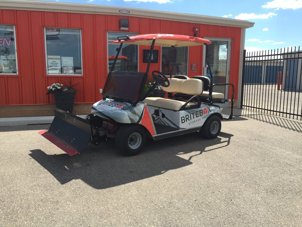 Ace of Carts | 127 Wheeler St, Saskatoon, SK S7P 0A4, Canada | Phone: (306) 664-2582