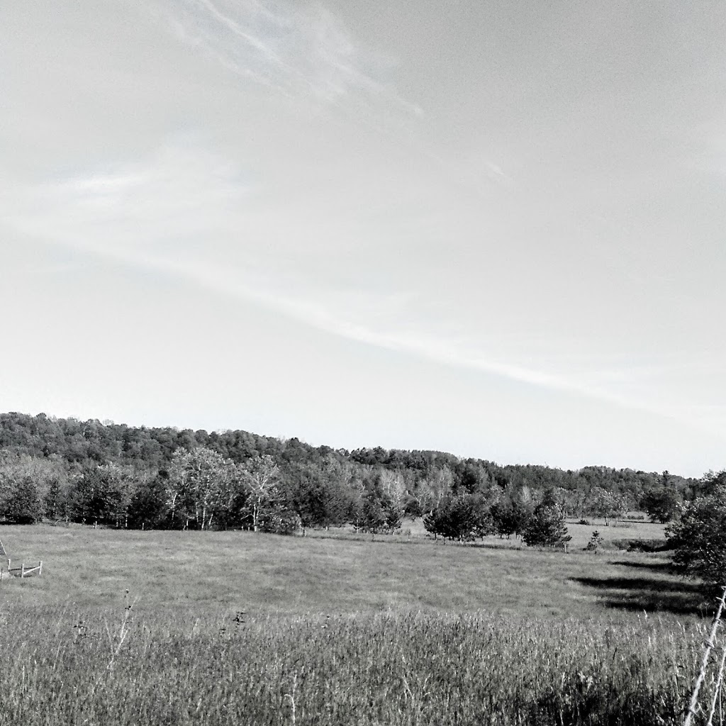 Ward Landscape Service | 3570 Concession Rd 7, Clarington, ON L0B, Canada, Canada | Phone: (905) 983-6180
