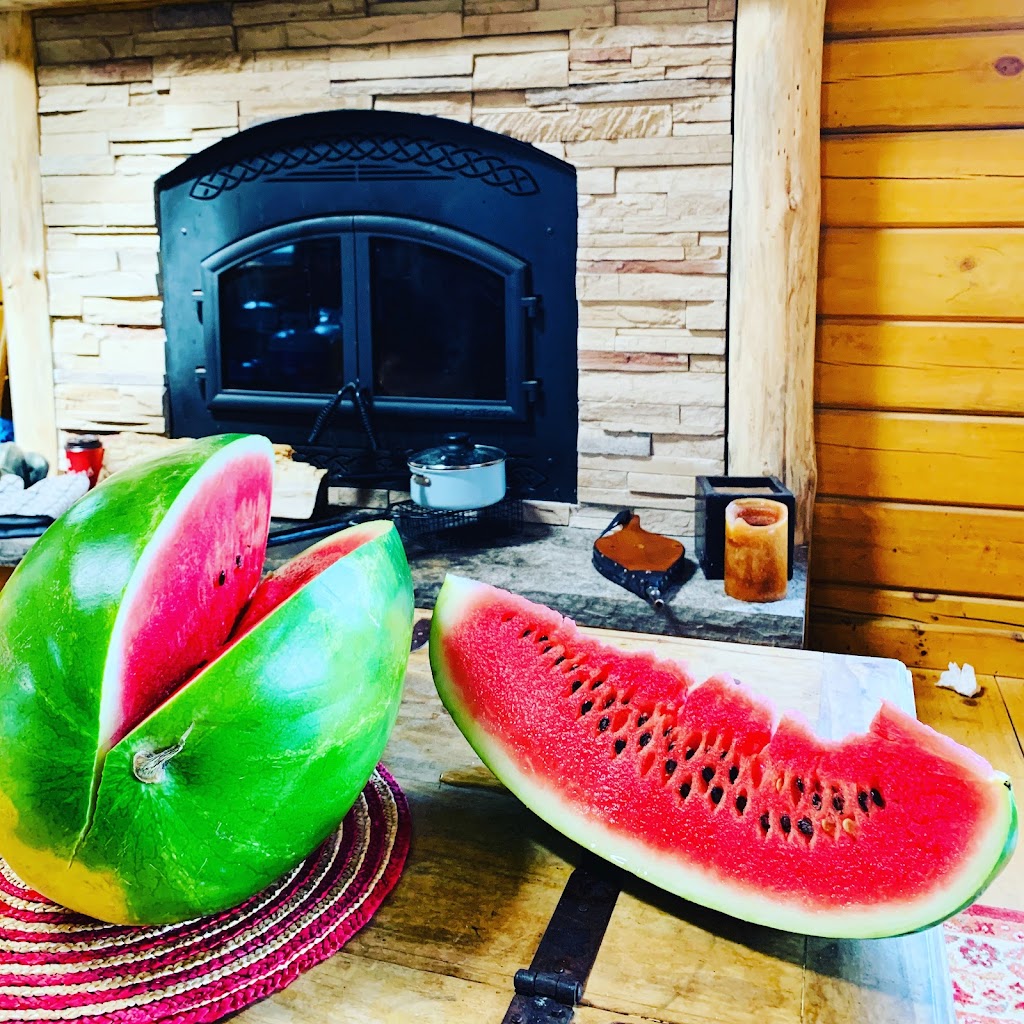 Daniel treehouse | 906 Brinklow Rd, Coe Hill, ON K0L 1P0, Canada | Phone: (416) 888-4137
