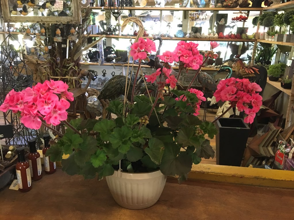 Arbor Garden Centre And Nursery | 6556 Trafalgar Rd, Milton, ON L9E 0Z2, Canada | Phone: (905) 876-1395