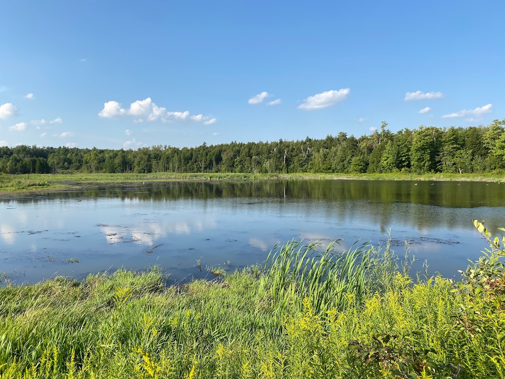 The Farmhouse on 135 Acres | 11355 Nassagaweya–Esquesing Townline, Halton Hills, ON L7J 2L7, Canada | Phone: (416) 527-3971